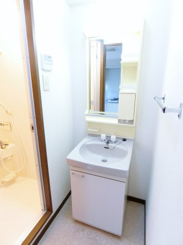 メゾンダイコー舟木の洗面所