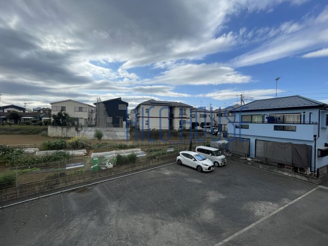 チェリーセージの展望