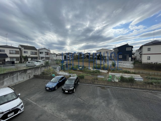 チェリーセージの展望