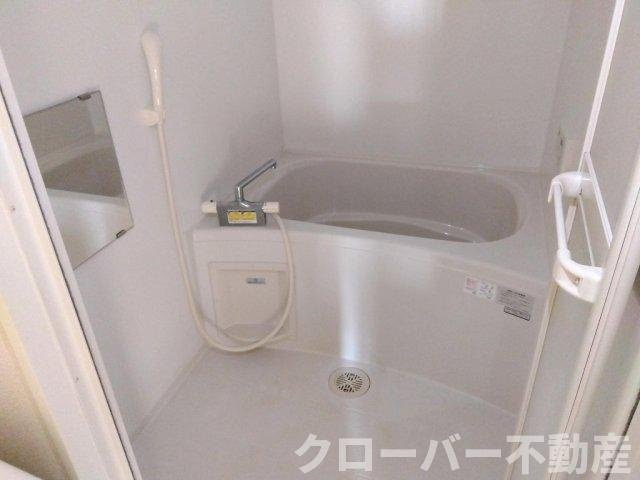 レオネクストパルミオーレ南の浴室