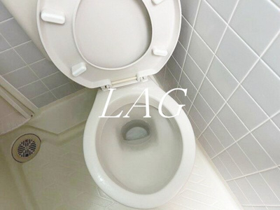 【トイレ】 | パーソネージユ目黒不動前 | トイレです。