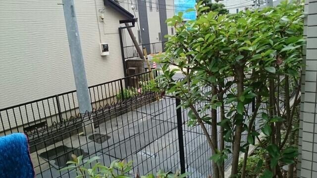 アモーレ フェリーチェの展望
