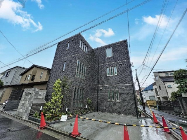 Ark Cassia