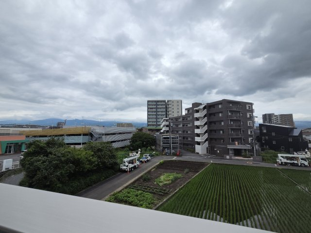 D-Crinum 下土狩Ⅱの展望