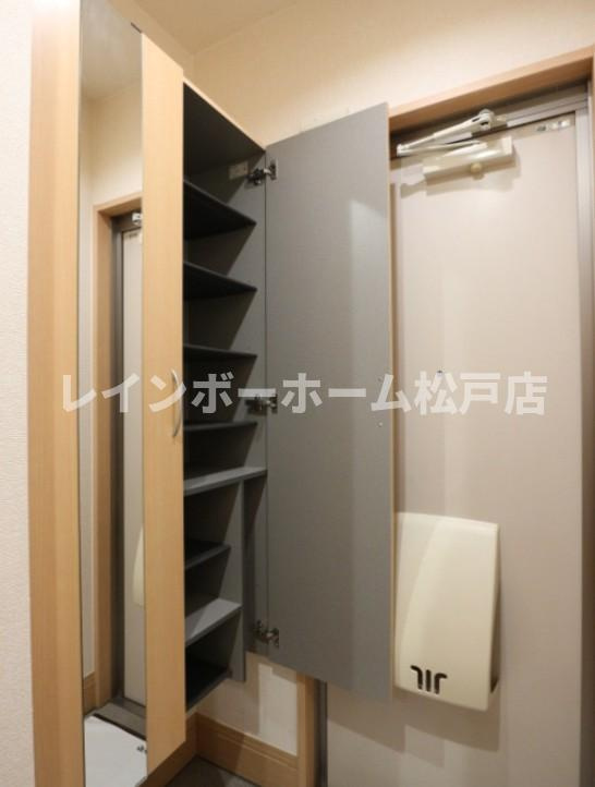 仲介手数料（賃料の1.10ヵ月）の50％OFF対象物件！の玄関|きれいな玄関です
