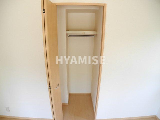 ウィルモアアサイのその他