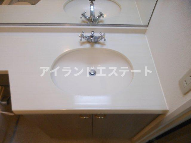LANAI　COMFORT　15　南向き　2面採光　2人入居相談の独立洗面台