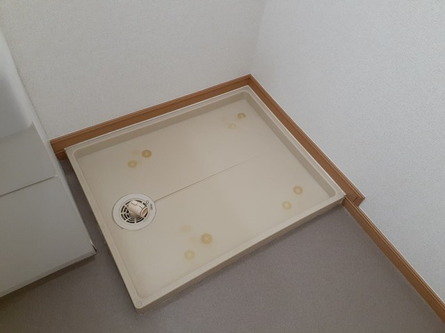 プリムローズのその他