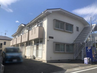 エステートサンフラワーの画像