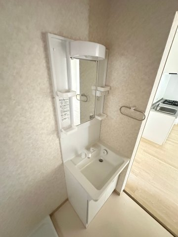 田村貸家の洗面所