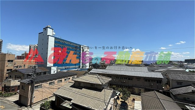 パーク・サンリヤン花畑の展望