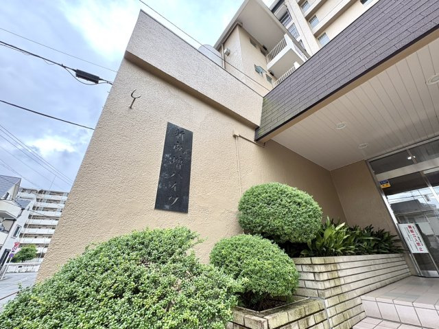 新成増ハイツの外観|周辺の街並みに調和する、落ち着いた雰囲気の外観。
流行に左右されない、安心感のある佇まいが魅力です。