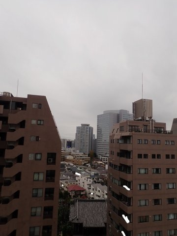 グランカーサ本駒込の展望
