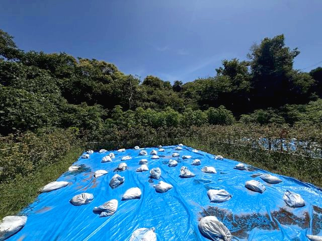 整形地　南道路　眺望良好な葉山の自然を身近に感じられるの外観|陽当良好