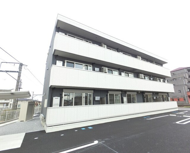フェリス