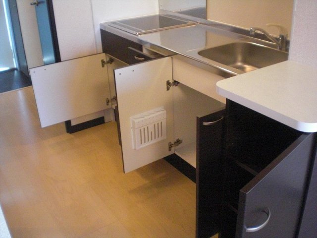 レオネクストカロータのキッチン