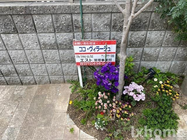ＣｏｃｏＶiｌｌａｇｅの周辺