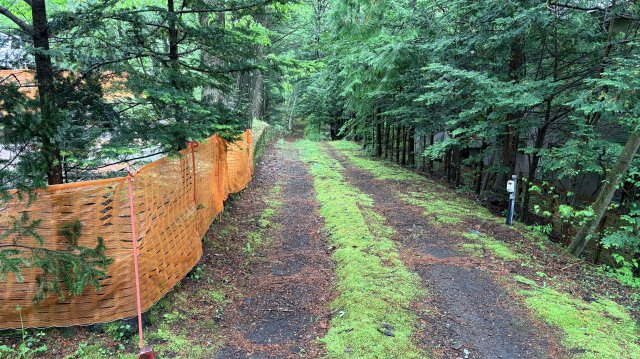 中軽井沢 千ヶ滝別荘地西区 古家付き土地の前面道路含む現地写真