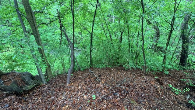 中軽井沢 千ヶ滝別荘地西区 古家付き土地の周辺