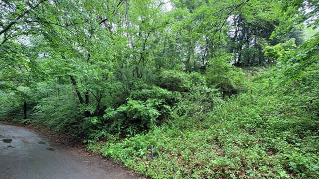 中軽井沢 千ヶ滝別荘地西区 古家付き土地の前面道路含む現地写真