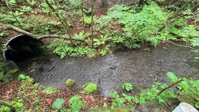 中軽井沢 千ヶ滝別荘地西区 古家付き土地の周辺