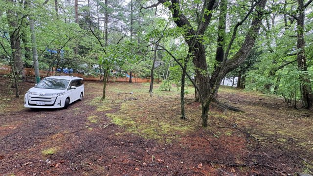 中軽井沢 千ヶ滝別荘地西区 古家付き土地の展望