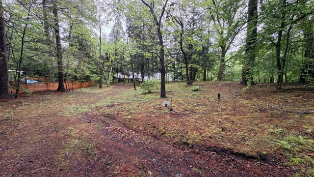 中軽井沢 千ヶ滝別荘地西区 古家付き土地の展望