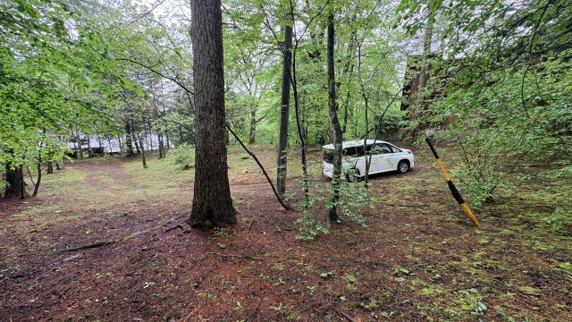 中軽井沢 千ヶ滝別荘地西区 古家付き土地の展望