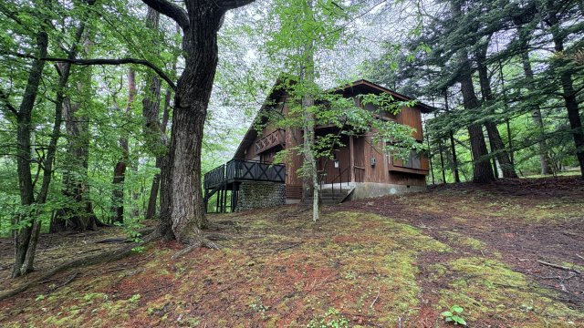 中軽井沢 千ヶ滝別荘地西区 古家付き土地の展望