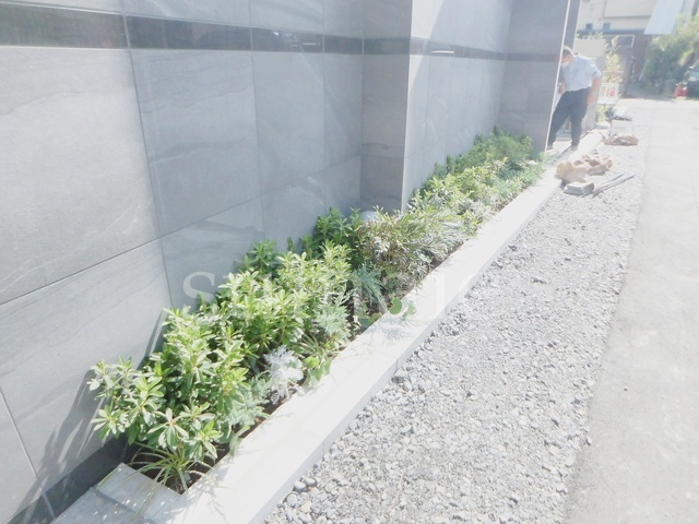 DIPS赤羽RESIDENCEのその他|植栽ですH☆