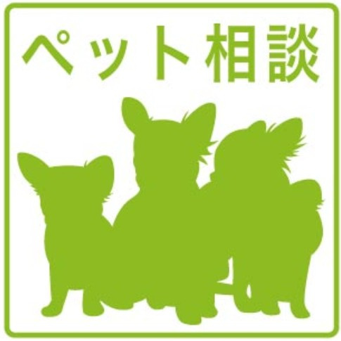 【その他】 | SOLメイクス新栄 | ★ペット飼育可能