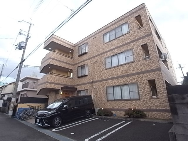 ヴィヴィッド