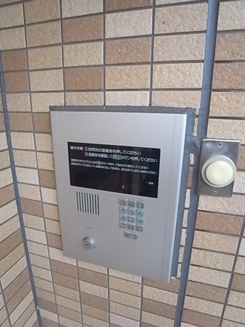 ヴィヴィッドの外観