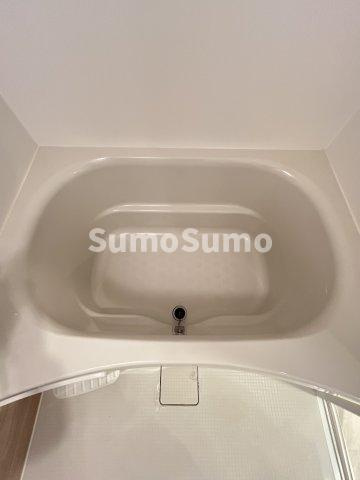 エスグランデ難波サウスの浴室