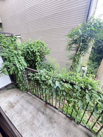 メゾンエクセＫのバルコニー