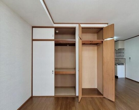 大阪市中央区瓦屋町２丁目の賃貸マンションの収納