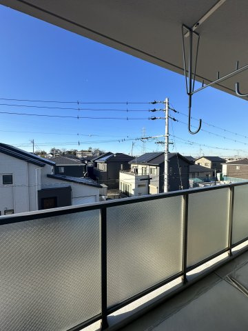 リアン シュシュの展望