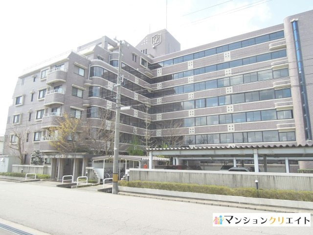 ロアール高木
