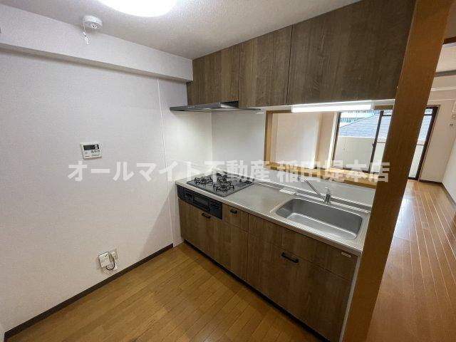 川崎市多摩区菅６丁目の賃貸マンションのキッチン