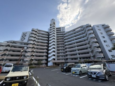バンベール城山