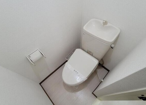 大阪市中央区瓦屋町２丁目の賃貸マンションのトイレ
