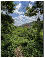 【外観】 | 有野町唐櫃　売地