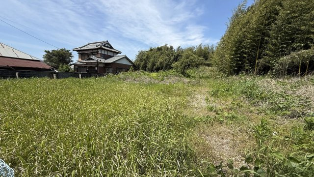 龍ケ崎市長沖町　古屋付き土地の外観|現況の状態でのお引き渡しの為、伐採や伐根は買主様のご負担となります。