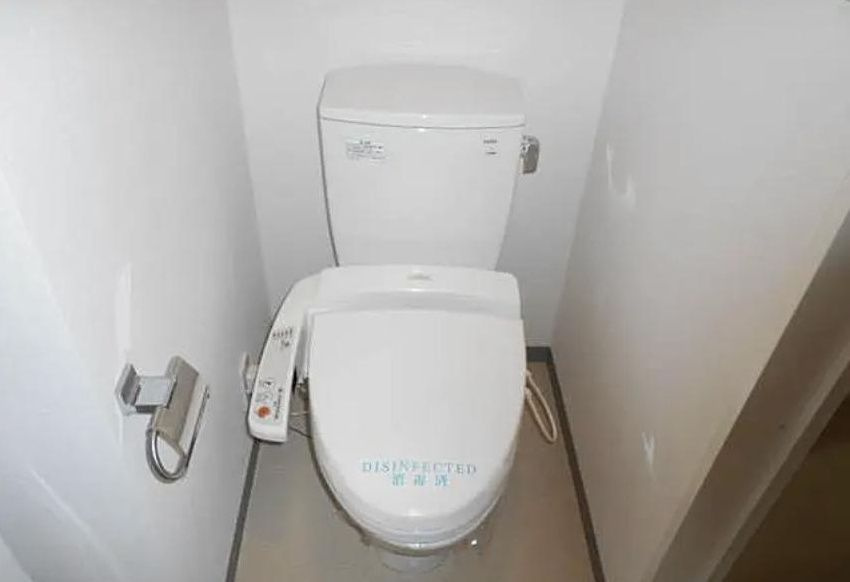 ロアール大山のトイレ