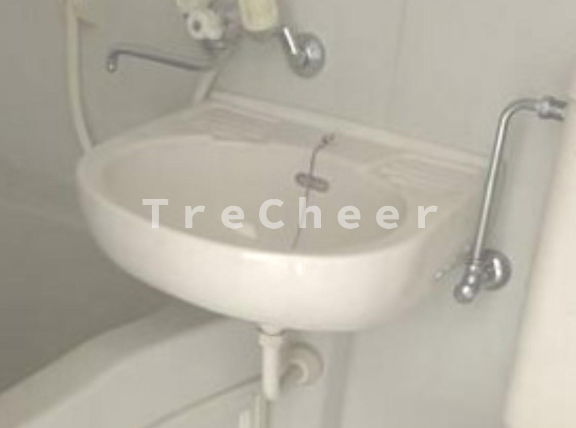 スカイハイツⅡの洗面所