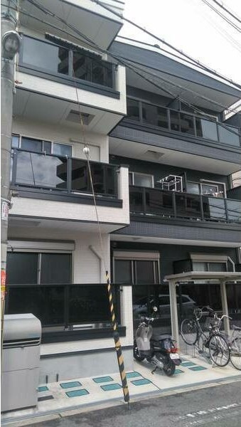 F asecia sceltoの外観
