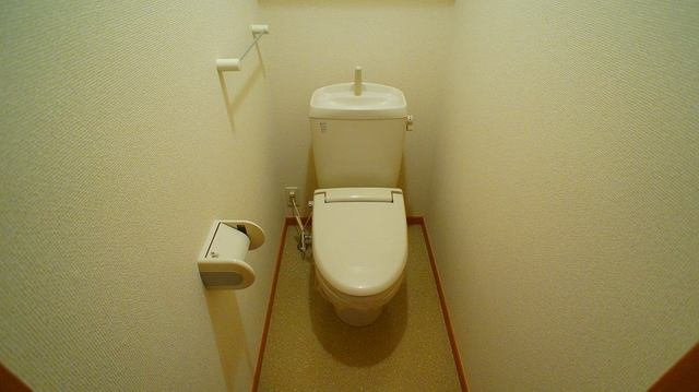 落ち着いた色調のトイレです