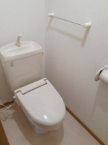 落ち着いた色調のトイレです