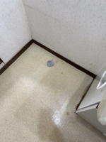 ゆったりとスペースのある洗面所
