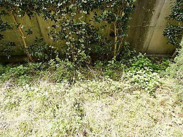 レージュ長久手の庭